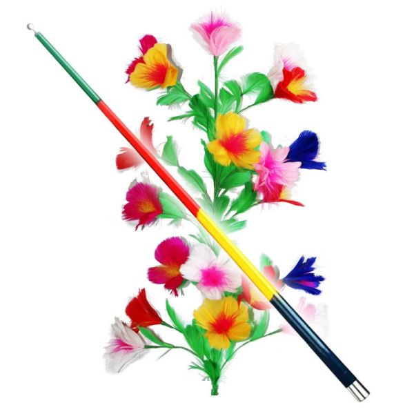 VANICM1