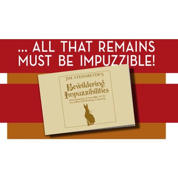 VT1_BEWILDPUZZ_0