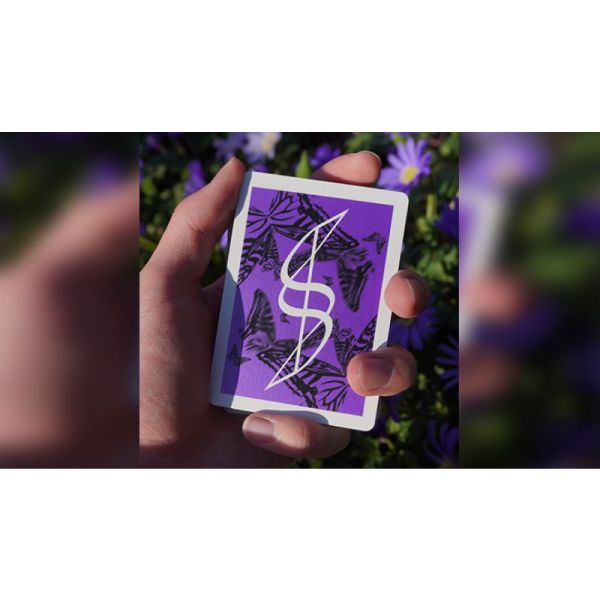 VT1_CARDSDREAMOF_0