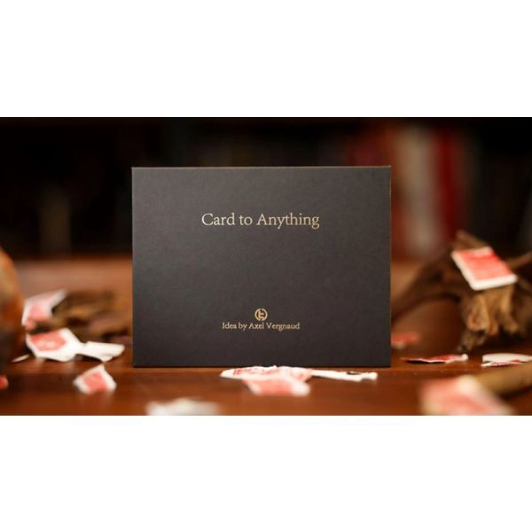 VT1_CARDTOANYTHING_0