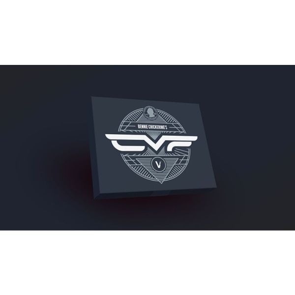 VT1_CVFBENNIE_0