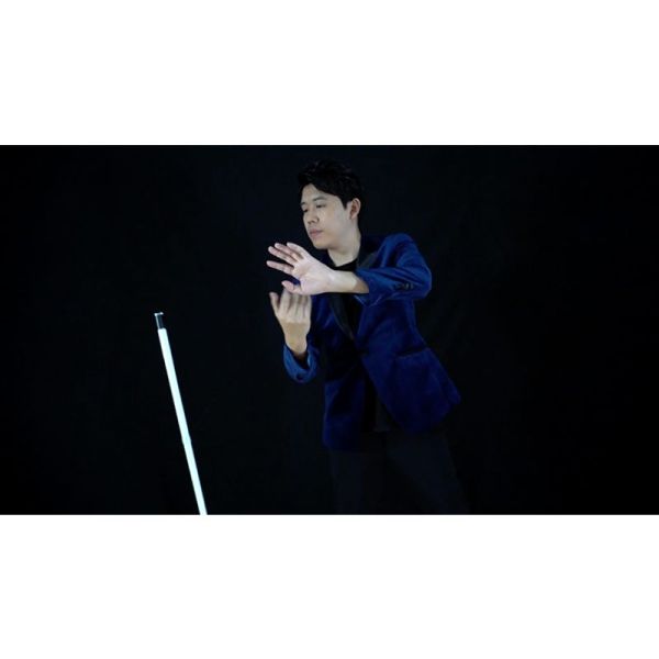 VT1_DANCINGVANISHINGCANE2_WHT_0