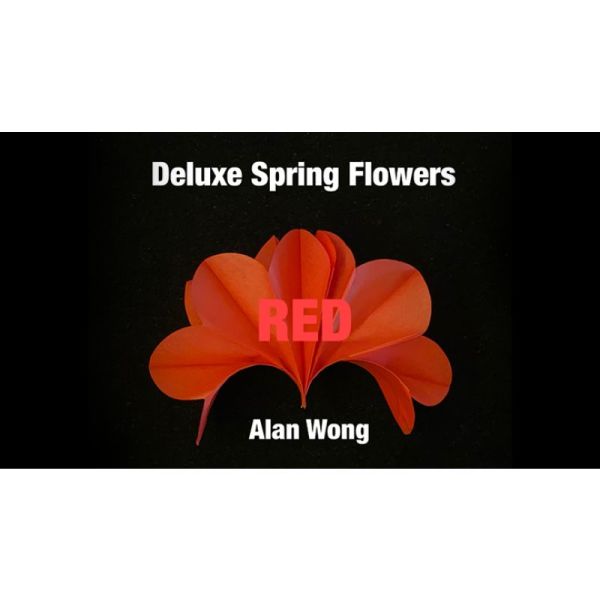 VT1_DLXSPRNG_RED_0