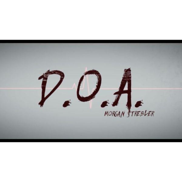 VT1_DOAMORGAN_0