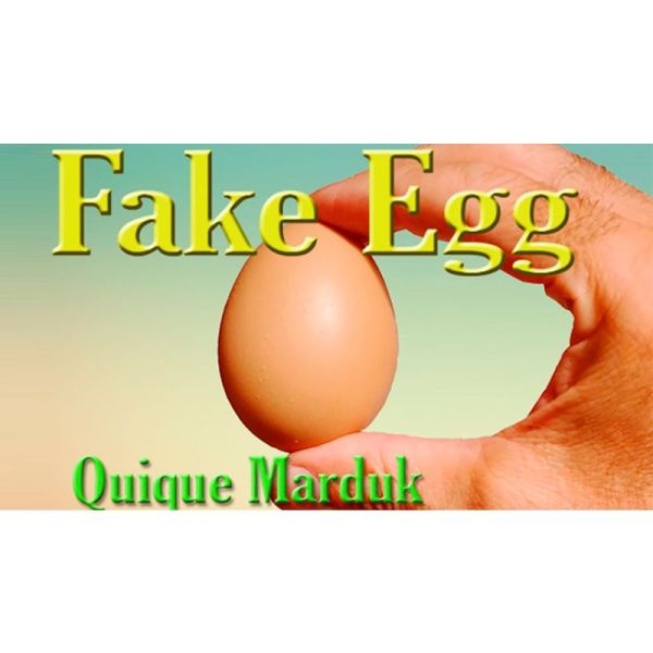 VT1_FAKEEGG_BROWN_0