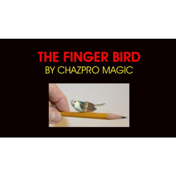 VT1_FBIRD_0