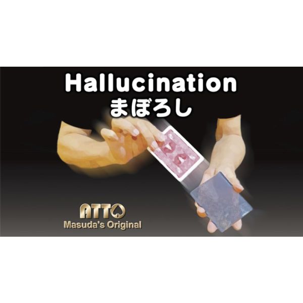 VT1_HALLUCINATION_0