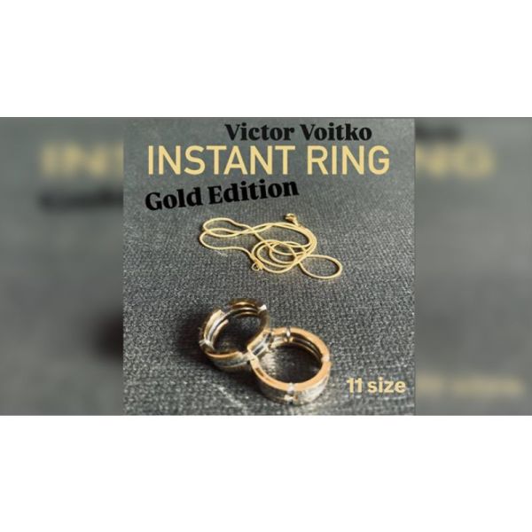 VT1_INSTARINGSILGLD_11_0