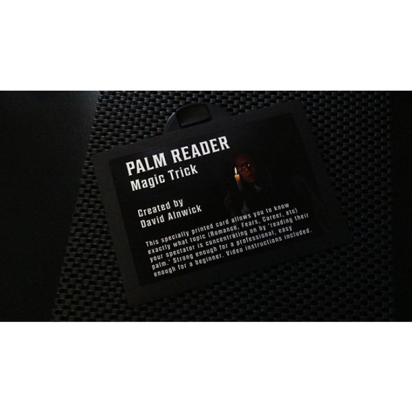 VT1_PALMREADDAVID_0
