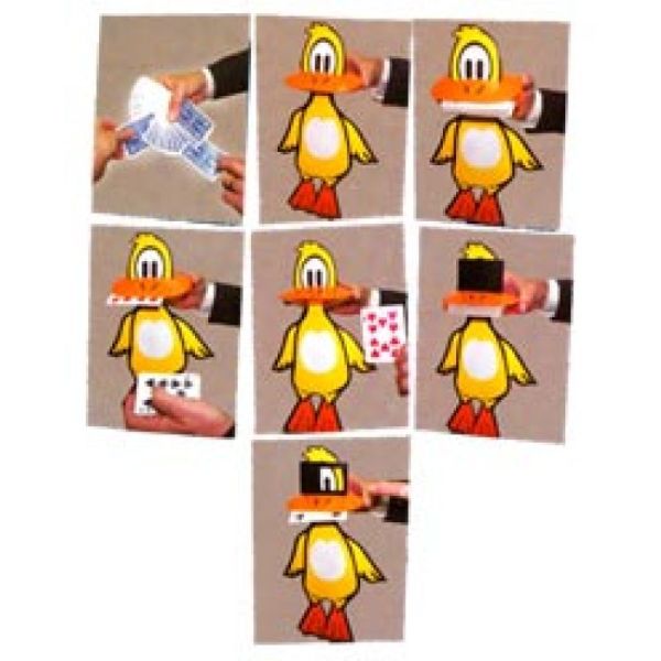 VT1_PANCHOTHE_0