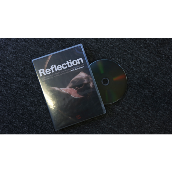 VT1_REFLECTION_GOODWIN_0