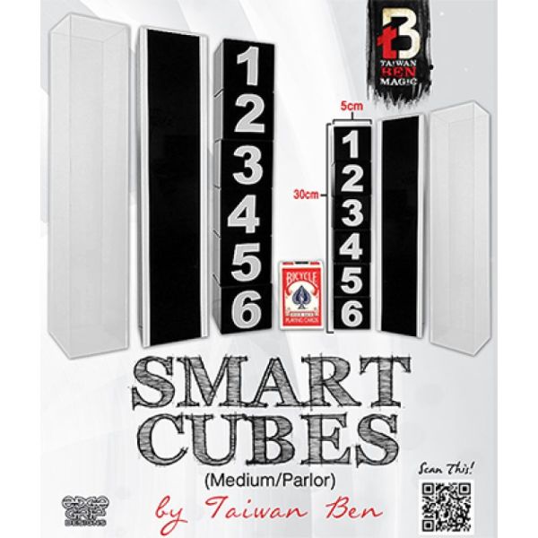 VT1_SMARTCUBESPARLOR_0
