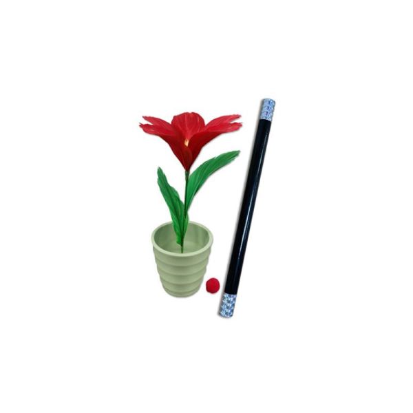 VT1_WANDTOFLOWER_C_0