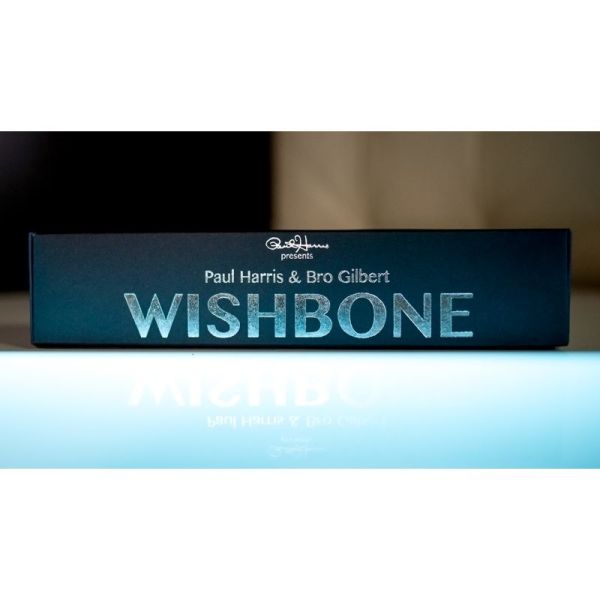 VT1_WISHBONE_0