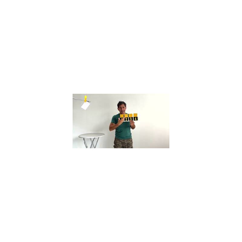 Video Four Colour Flower Prediction 