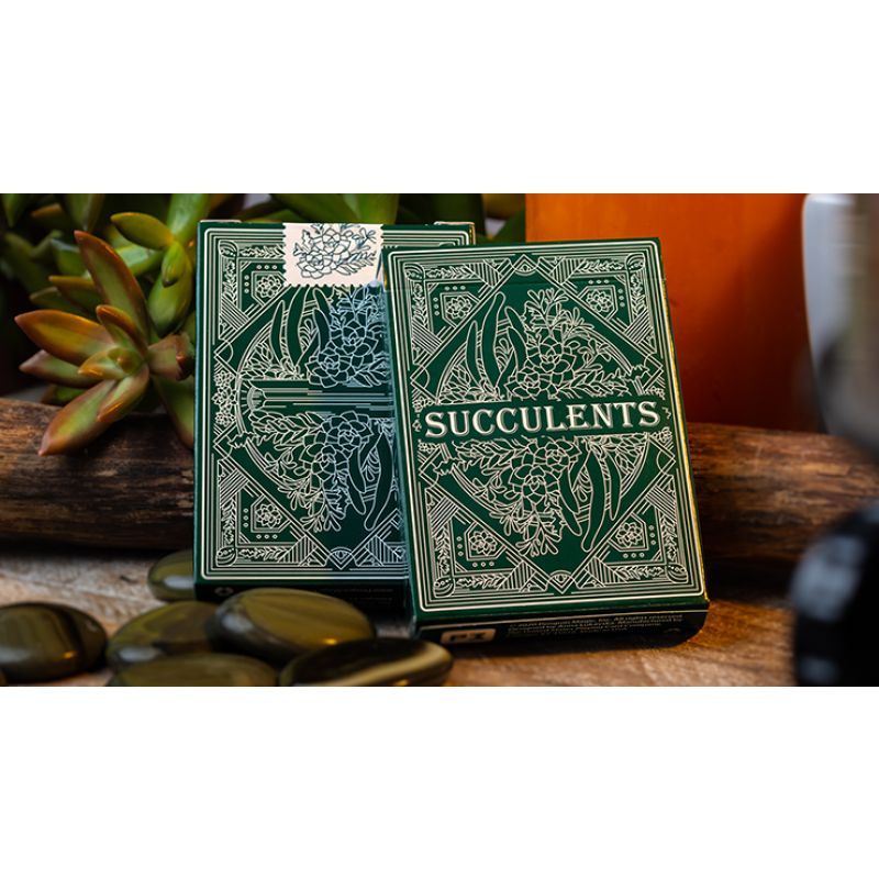 Foto Succulents Playing Cards