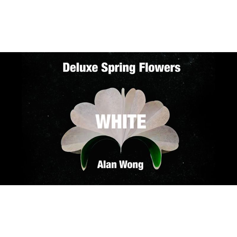 Foto Deluxe Spring Flowers WHITE by Alan Wong - Trick