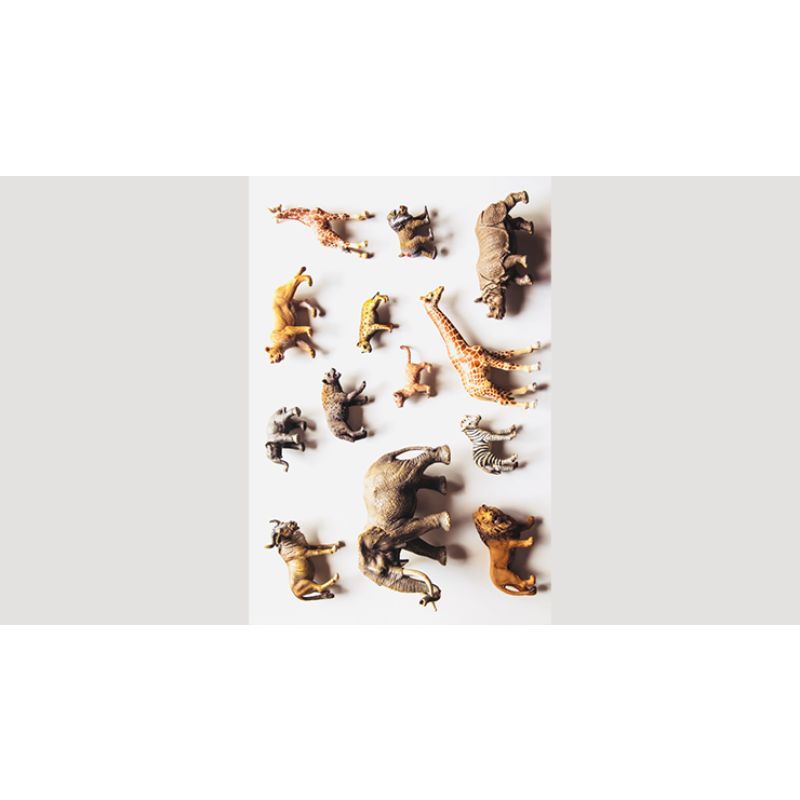 Foto Noah s Ark Prop-less Animal Guess by Fraser Parker - Book