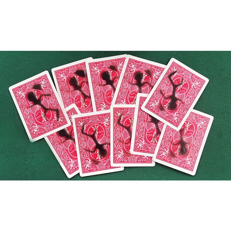 Foto Stickman Bob SMOKED CARDS (Pack of 10) - Trick (VT)