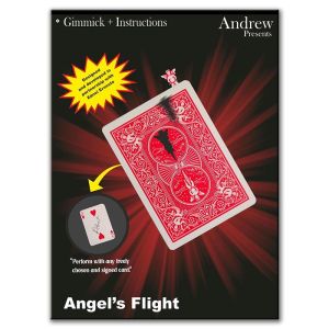 Foto Angel's Flight by Andrew and Ednei Ernesto