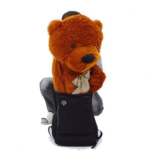 Foto Appearing Teddy Bear - Large size