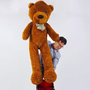 Foto Appearing Teddy Bear - Large size