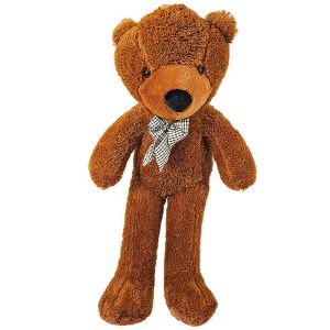 Foto Appearing Teddy Bear - Medium size