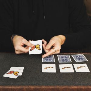 Foto CaterFly by Magical Project
