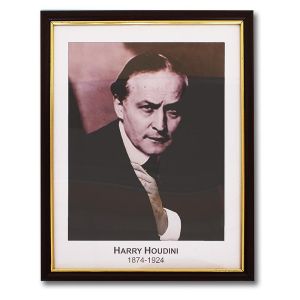 Foto Houdini Prediction Frame