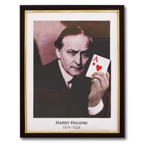 Foto Houdini Prediction Frame