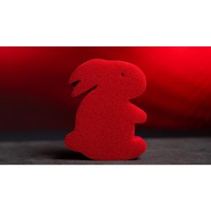 Foto Magic Sponge Bunny Rabbit Set (Red) by Murphy\'s Magic