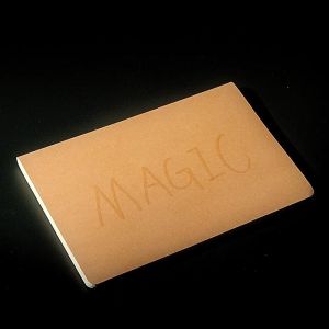 Foto Revelio by Magic's Express