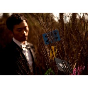 Foto A's Manipulation Deck (Color) by Lee Ang Hsuan - Trick (VT)