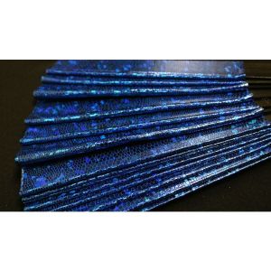 Foto Appearing SnowStorming Fan V2 (Blue Hologram) by Victor Voitko (Gimmick and Online Instructions) - Trick