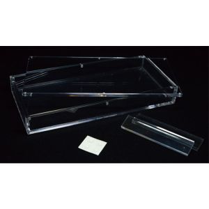 Foto Carat X3 (Holds 3 Decks)