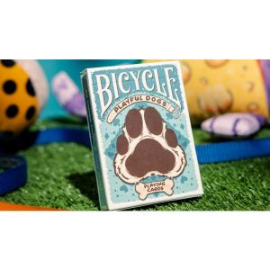 Foto Bicycle Playful Dog Playing Cards