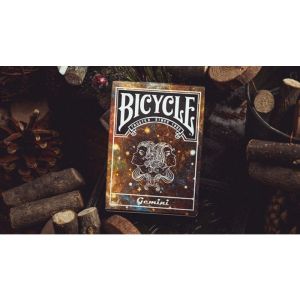 Foto Bicycle Constellation (Gemini) Playing Cards
