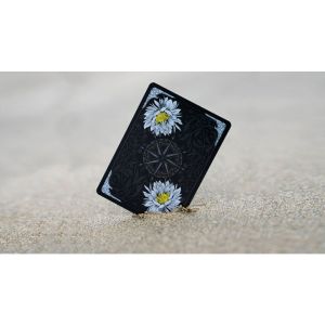Foto Epiphyllum Playing Cards