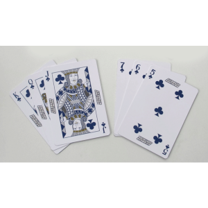 Foto Georgia Southern Playing Cards