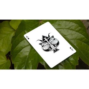 Foto Mantis Playing Cards (Marked)