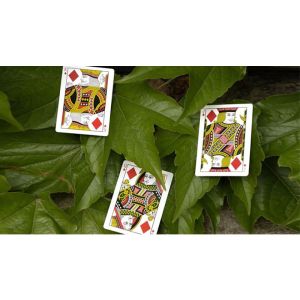 Foto Mantis Playing Cards (Marked)
