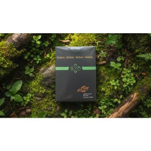 Foto North Wind Beacon Playing Cards by WohStudios