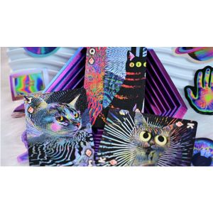 Foto Radio Cat V2 Deck with Grating tuck case by Evokad