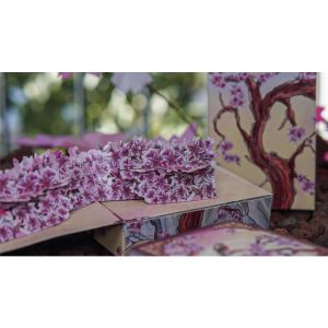Foto Sakura Renaissance 3D Pop-up Sunlight Edition Playing Cards