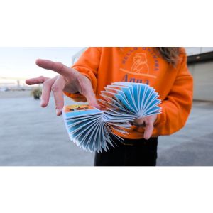 Foto Suzy Accordion Cards (VT)