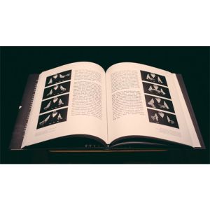 Foto Coins and Other Fables by Luis Piedrahita - Book