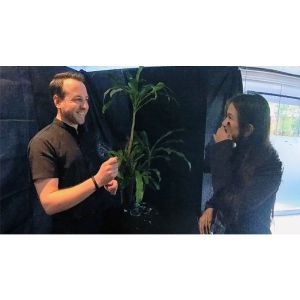 Foto Echo Book Test by Vincent Hedan (Hypnosis)