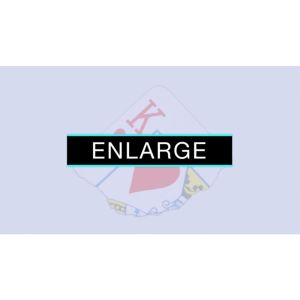 Foto Enlarge (DVD and Gimmicks) by SansMinds - DVD