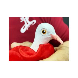 Foto FINGER DOVE by JL Magic - Trick