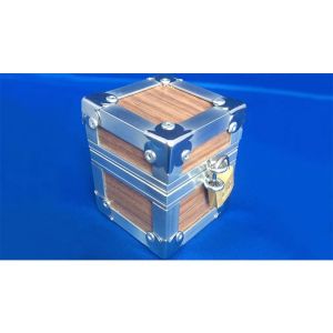 Foto Flight Case (Gimmck and Online Instructions)by Leo Smetsers - Trick